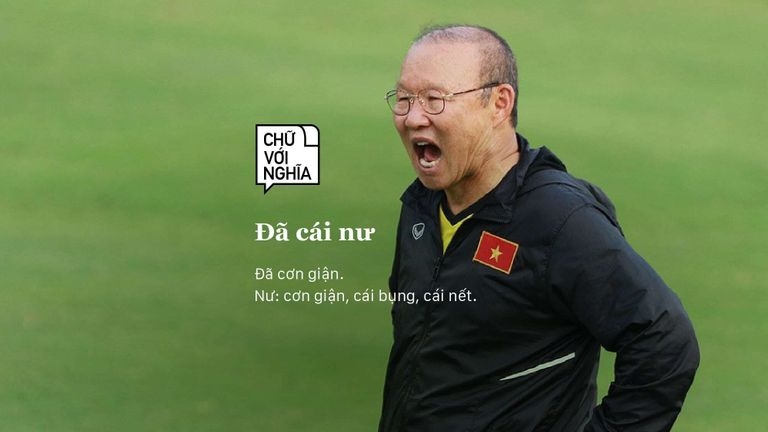 đã cái nư là gì 2.jpg
