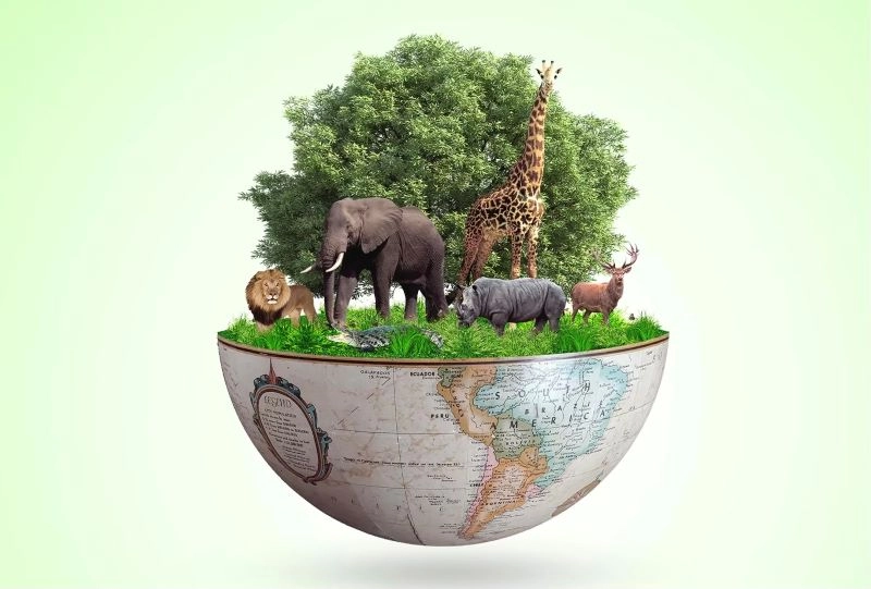 Đa dạng sinh học là gì 6