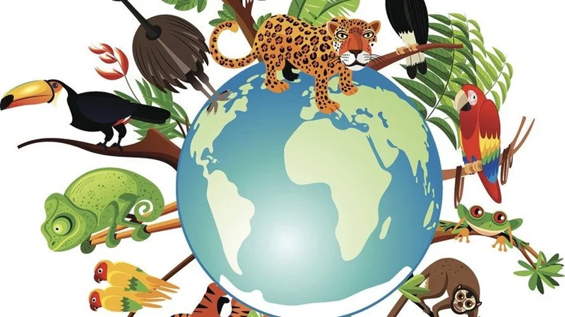 Đa dạng sinh học là gì 1
