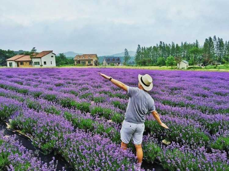 Đà Lạt có gì chơi 12
