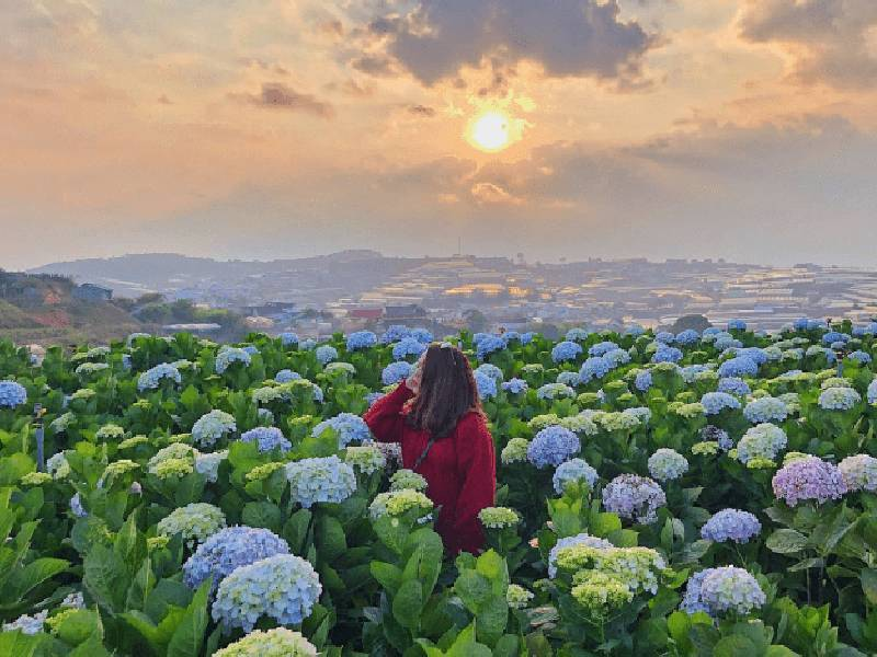 Đà Lạt có gì chơi 15
