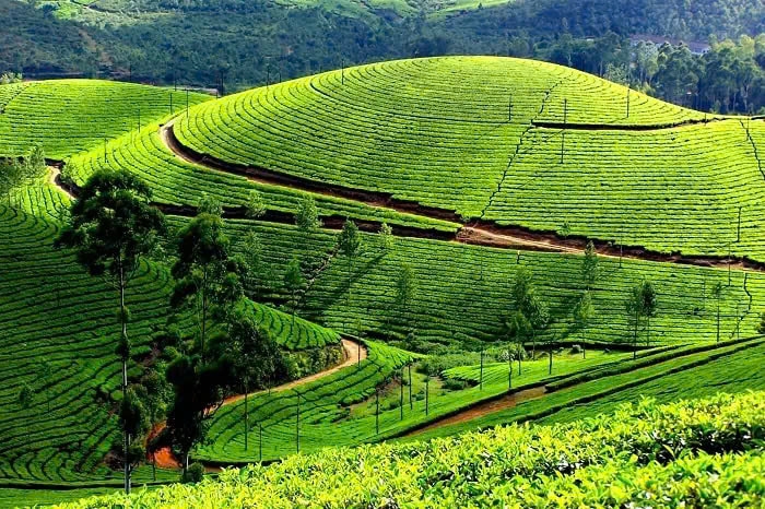đặc sản Thái Nguyên-2.jpg