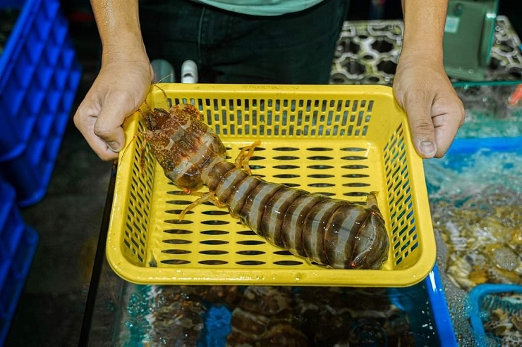 đặc sản cô tô 9