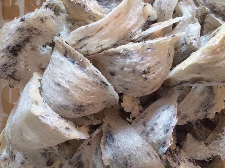 đặc sản Côn Đảo 10