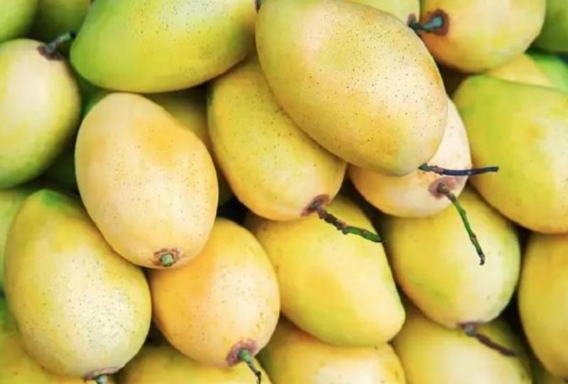 đặc sản Đắk Nông 3