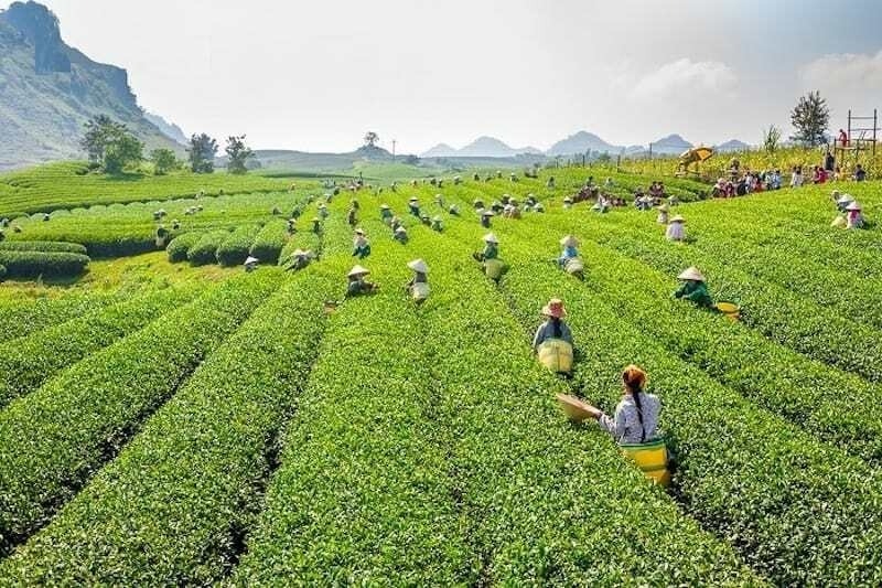 đặc sản Đắk Nông 4