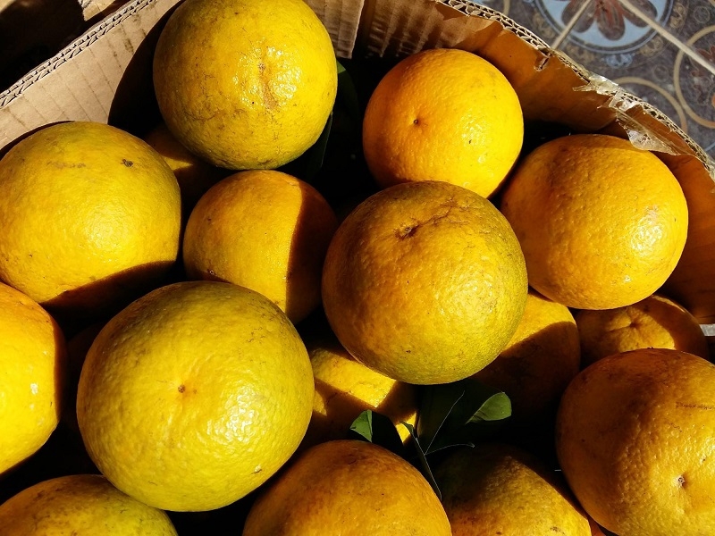 Đặc sản Hòa Bình 5