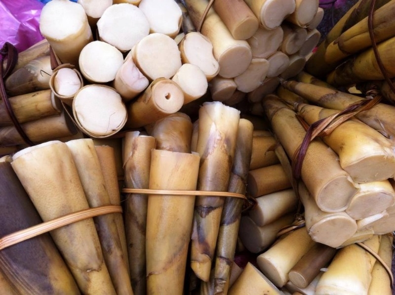 đặc sản sơn la 10