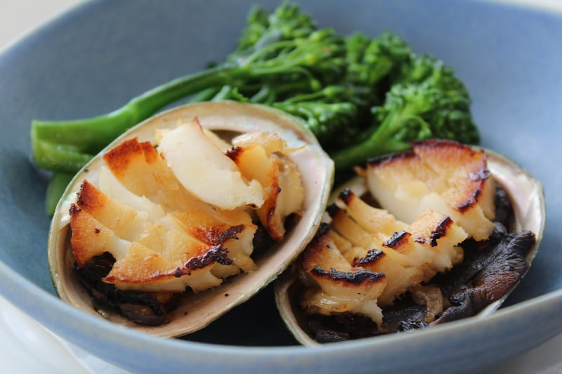 Bào ngư Úc viền xanh Tasmania