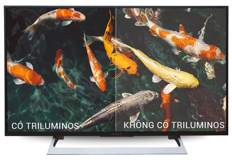 Đánh giá tivi Sony 43X8000E 5