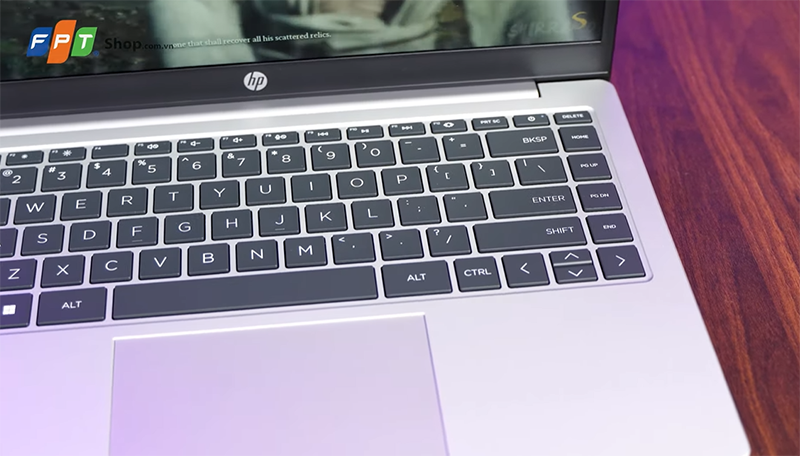 Đánh giá HP 245 G10 (hình 8)