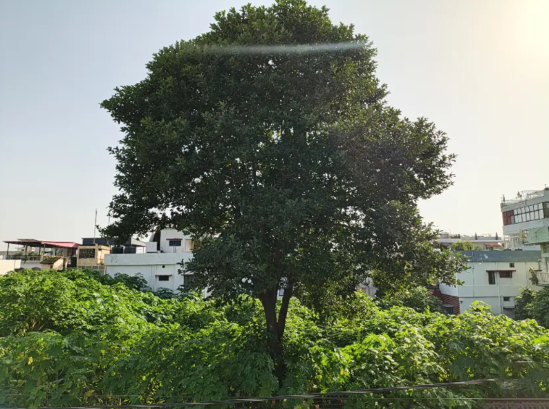 Infinix Hot 70 Pro - hình 7