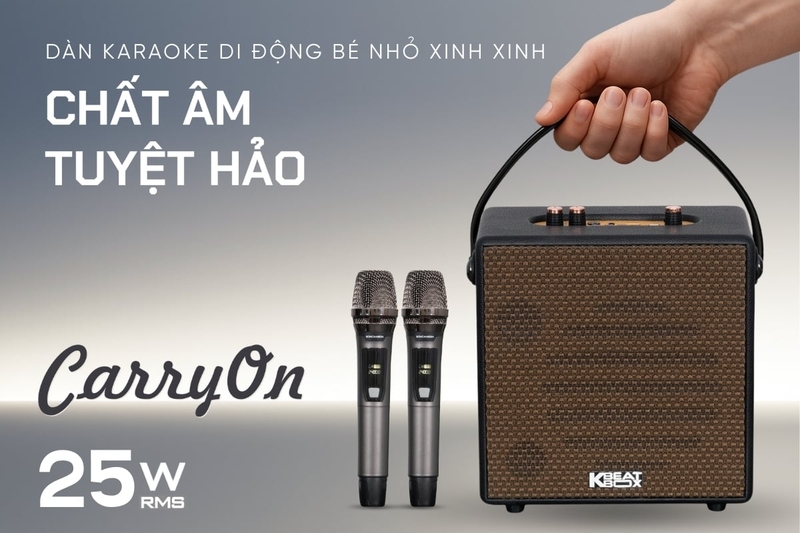 đánh giá Loa Karaoke xách tay Sơn ca CarryOn - Hình 5