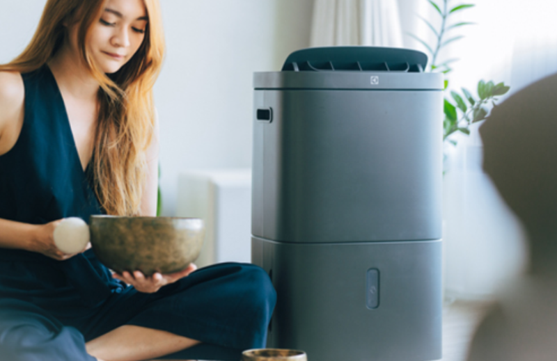 Đ&aacute;nh gi&aacute; m&aacute;y h&uacute;t ẩm Electrolux EDH12TRBD2 - h&igrave;nh 2