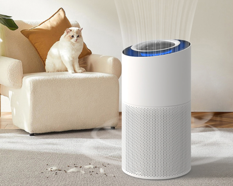 Đ&aacute;nh gi&aacute; m&aacute;y lọc kh&ocirc;ng kh&iacute; Lumias Bulma Pro - h&igrave;nh 3