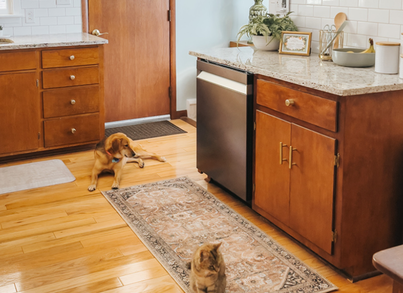 Đ&aacute;nh gi&aacute; m&aacute;y rửa ch&eacute;n Samsung Bespoke - h&igrave;nh 11