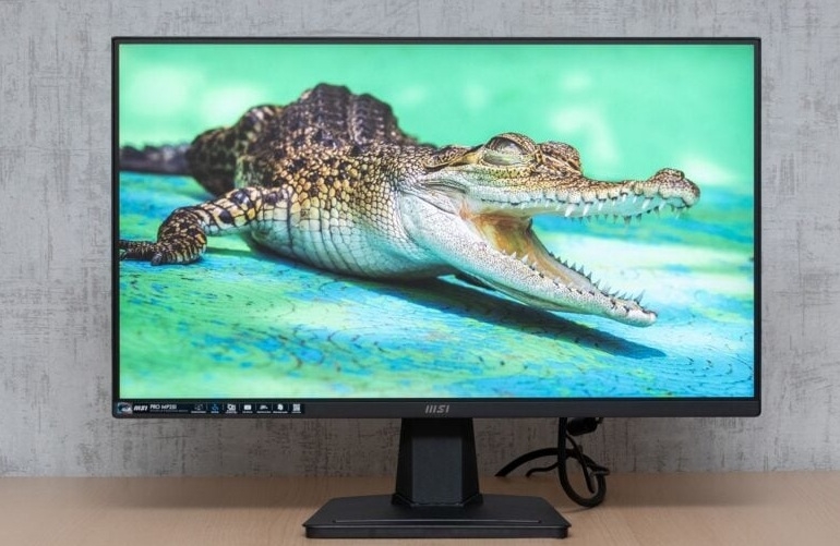 Đánh giá MSI Pro MP251 8