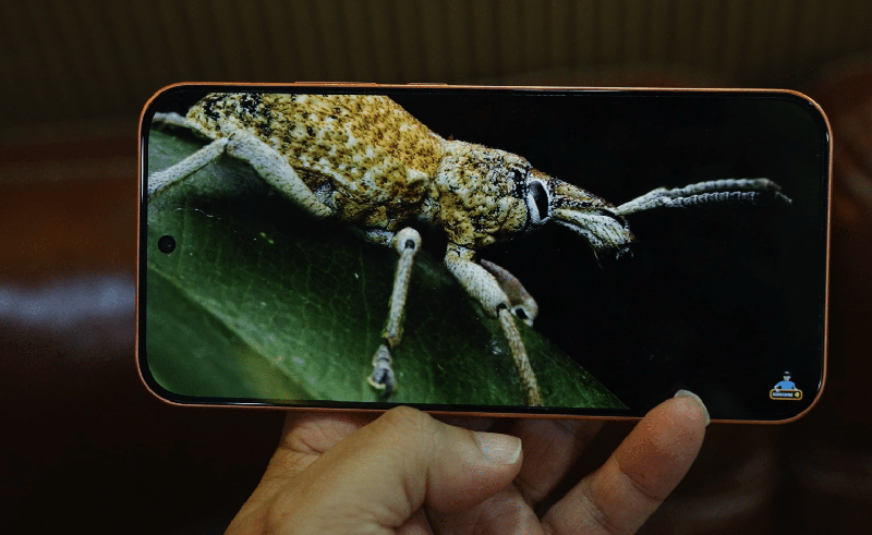Đánh giá OPPO F35 Pro - hình 7
