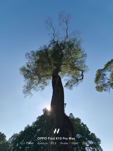 danh-gia-oppo-find-x10-pro-max-12.png