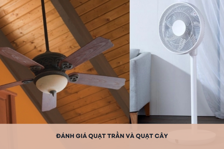 Đánh giá quạt trần và quạt cây: Lựa chọn nào phù hợp với phòng ngủ và phòng khách?