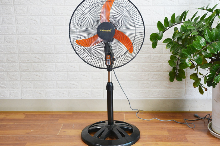 Đánh giá quạt trần và quạt cây để lựa chọn loại quạt phù hợp với phòng ngủ và phòng khách hình 3