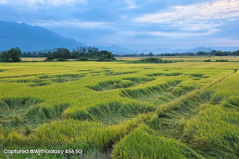 Đánh giá Samsung Galaxy A56 5G 6