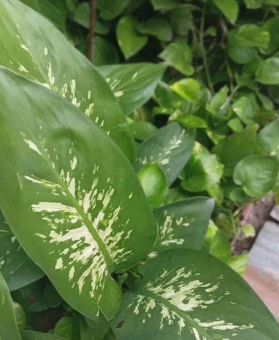 Đánh giá Samsung Galaxy M17e - hình 12