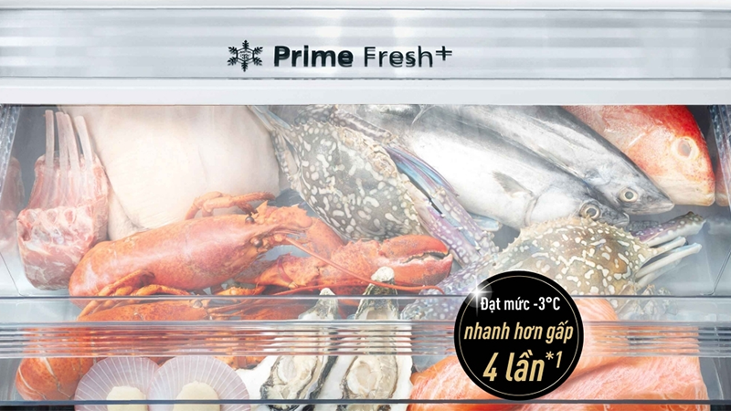 Đánh giá tủ lạnh BX471GPKV (hình 5)