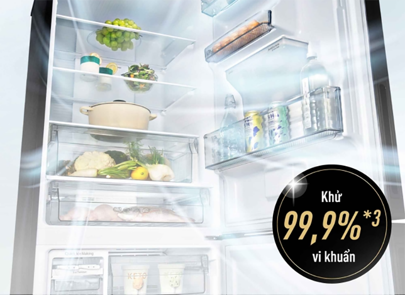 Đánh giá tủ lạnh BX471GPKV (hình 6)