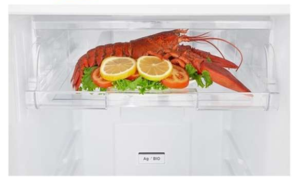 Đánh giá tủ lạnh RT325WE (hình 4)