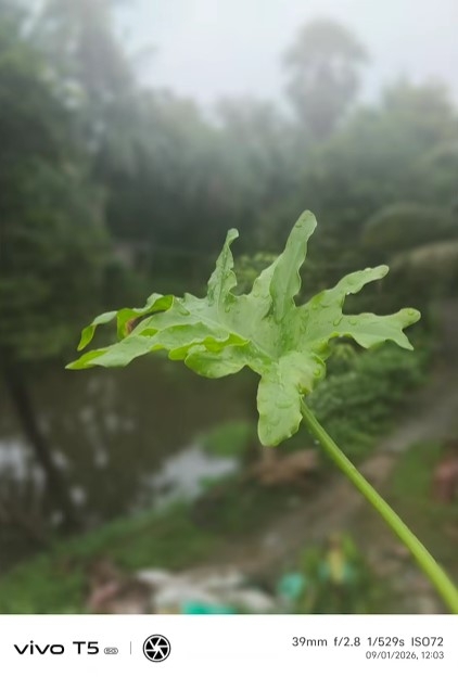 Đánh giá vivo T5 5G - hình 13