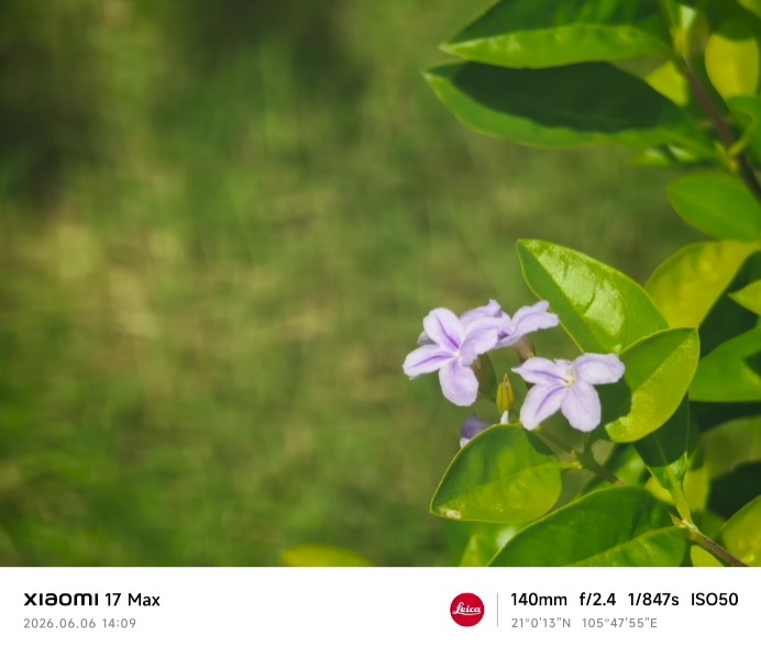 Đánh giá Xiaomi 17 Max - hình 10