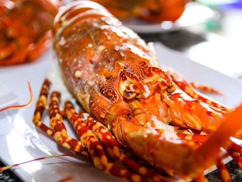Đảo Bình Hưng hình 8