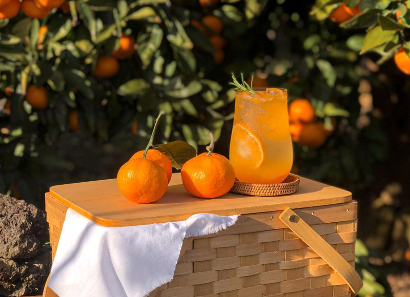 Đảo Jeju thuộc quốc gia nào 11