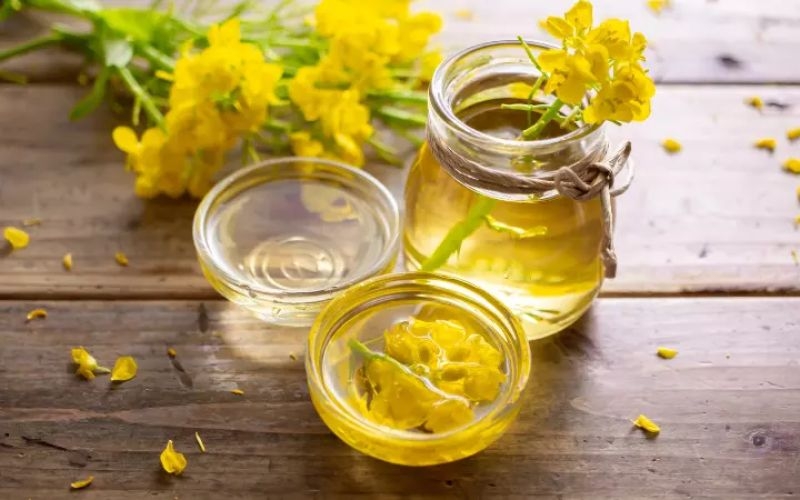 Dầu hạt cải thích hợp cho nấu ăn