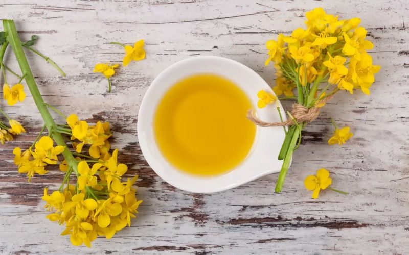 Lưu ý khi sử dụng dầu hạt cải