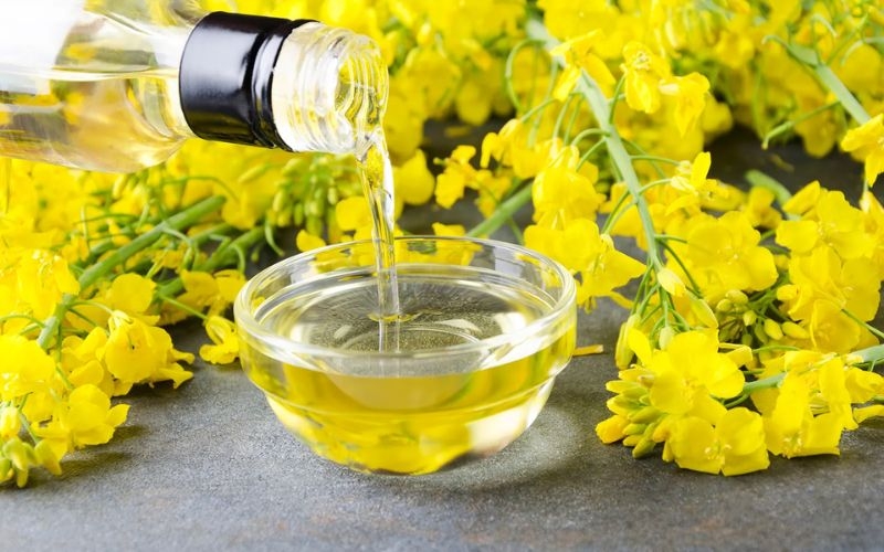 Dầu hạt cải là gì