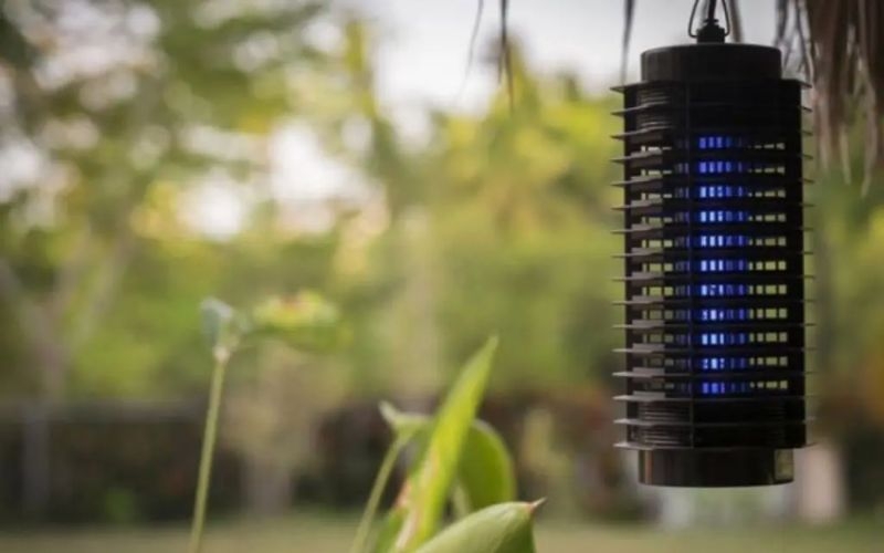 Có nên mua đèn bắt muỗi Daewoo không