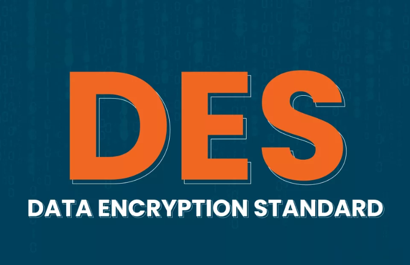 Des là gì? (hình 3)