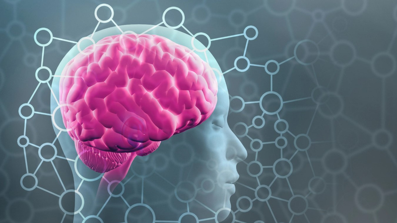 Đi bộ có giảm cân không? (hình 7)