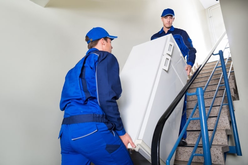 Di chuyển tủ lạnh bao lâu thì cắm điện ảnh 2