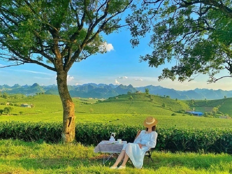 điểm check-in sống ảo mùa hè 2025 1