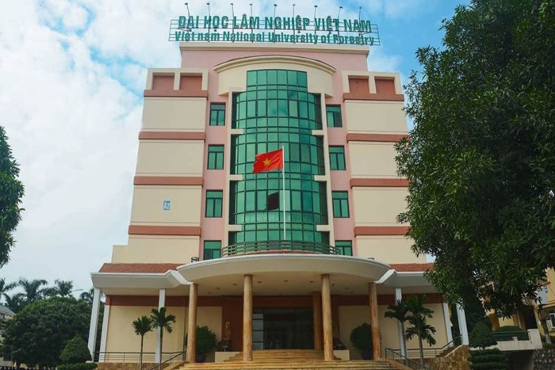 Điểm chuẩn Đại Học Lâm nghiệp 2025 ảnh 1