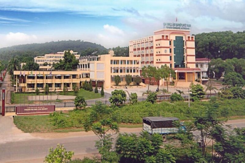 Điểm chuẩn Đại Học Lâm nghiệp 2025 ảnh 8