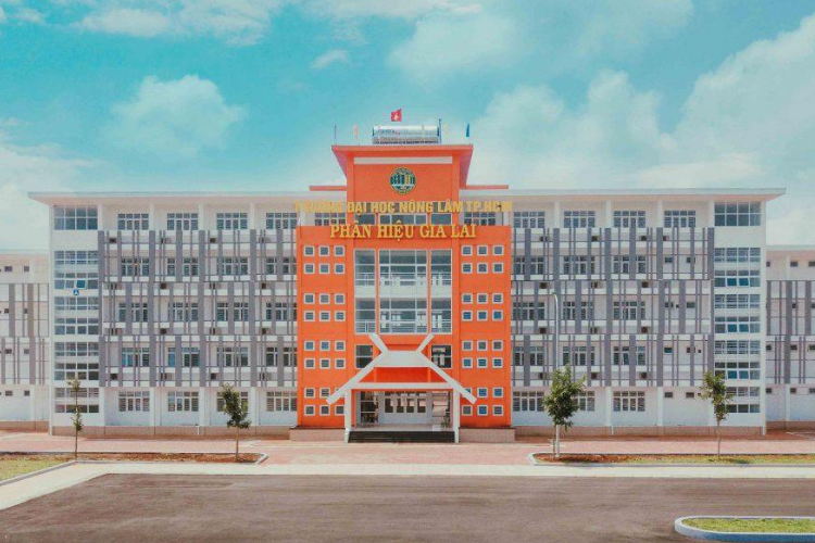 Điểm chuẩn Đại học Nông Lâm TP.HCM tại Gia Lai 2025 5