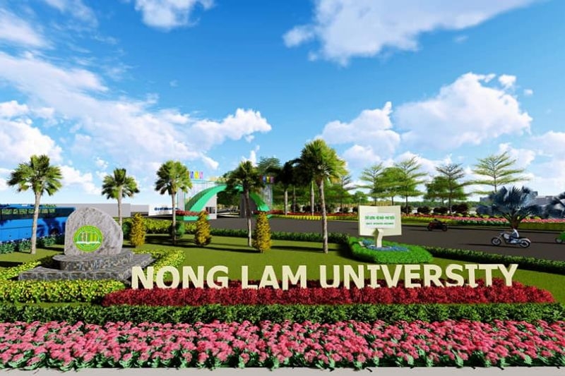 Điểm chuẩn Nông Lâm 2025 ảnh 4