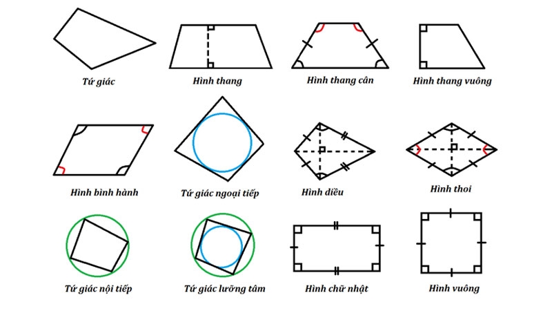 Diện tích hình tứ giác ảnh 9