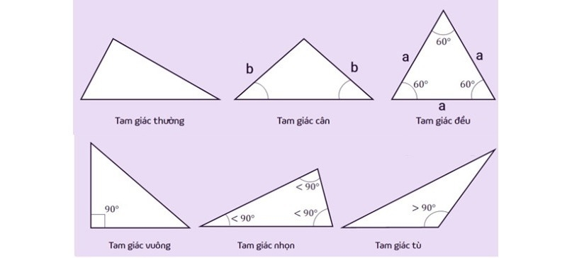 diện tích tam giác đều (ảnh 10)