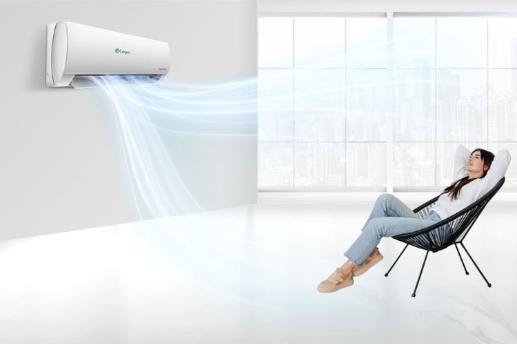 dieu-hoa-2-chieu-gia-re-nhat-hien-nay (3).jpg