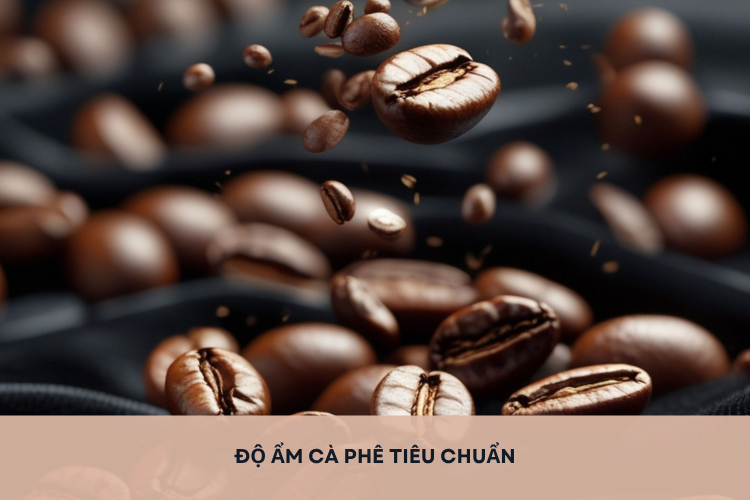 Giải đáp: Độ ẩm cà phê tiêu chuẩn là bao nhiêu? Ảnh hưởng như thế nào đến chất lượng của cà phê?